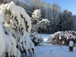 Garten im Winter